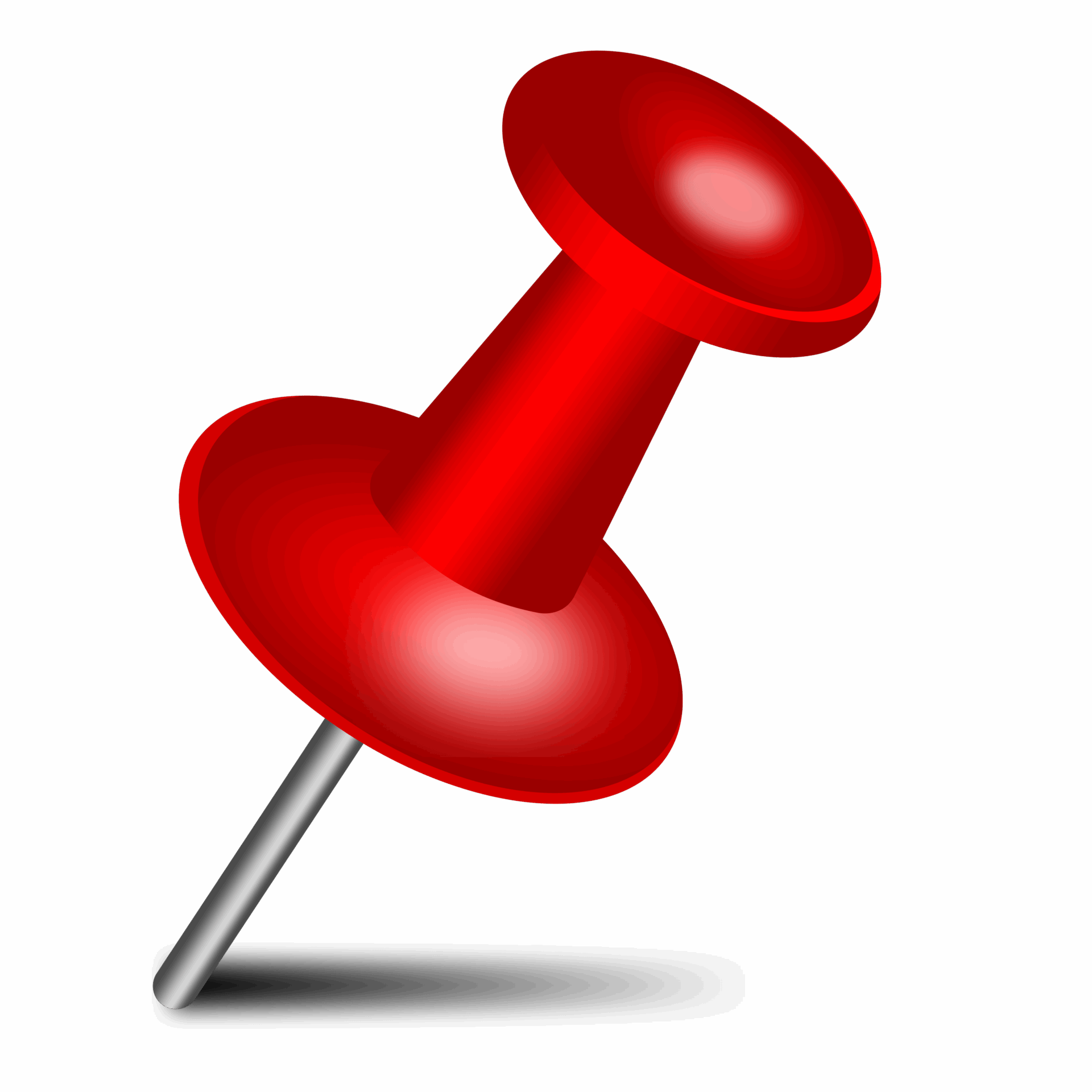 Pin
